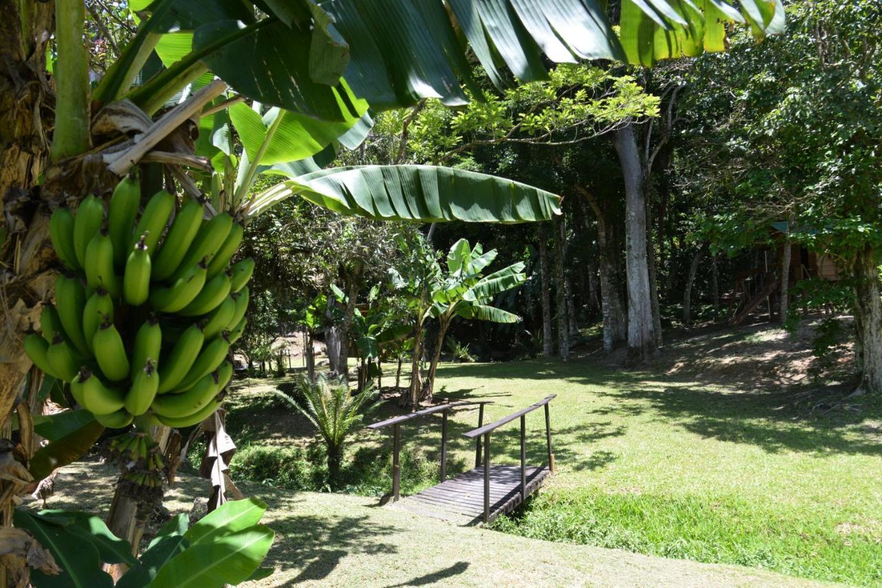 Pousada Sitio Olho D'Agua ボンビーニャス エクステリア 写真